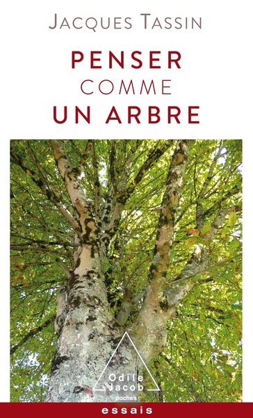 Picture of Penser comme un arbre