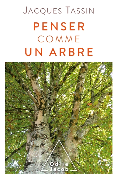 Picture of Penser comme un arbre