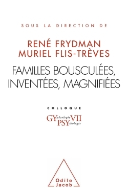 Image de Familles bousculées, inventées, magnifiées