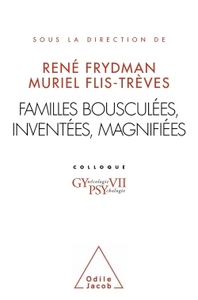 Image de Familles bousculées, inventées, magnifiées