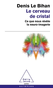 Picture of Le Cerveau de cristal