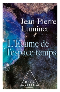 Picture of L'Écume de l'espace temps