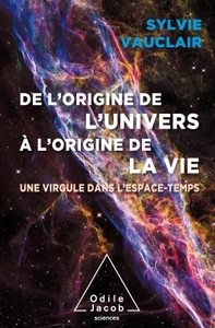 Picture of De l'origine de l'Univers à l'origine de la vie
