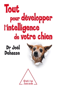 Picture of Tout pour développer l'intelligence de votre chien