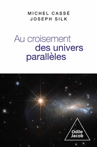 Image de Au croisement des univers parallèles
