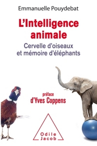 Picture of L'Intelligence animale