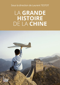 Picture of La grande histoire de la Chine