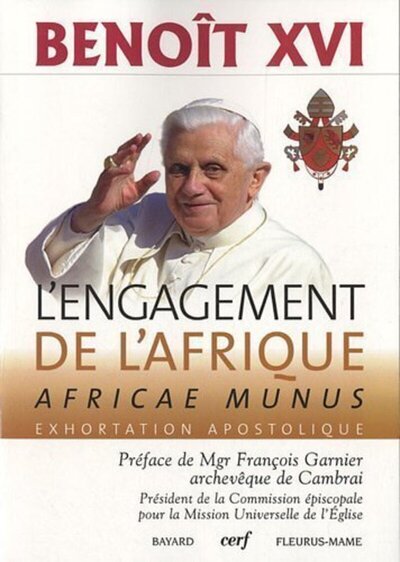 Image de L'engagement de l'Afrique