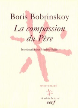 Picture of LA COMPASSION DU PERE