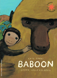 Picture of Baboon