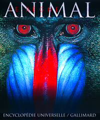 Image de Le règne animal