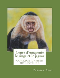 Picture of Le singe et le jaguar 2