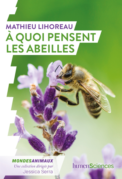 Picture of À quoi pensent les abeilles ?