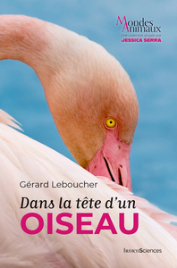 Image de Dans la tête d'un oiseau