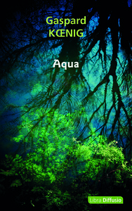 Picture of Aqua