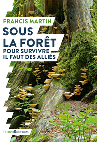 Image de Sous la forêt