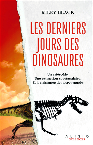 Image de Les derniers jours des dinosaures