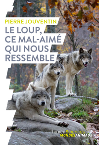 Image de Le loup, ce mal-aimé qui nous ressemble