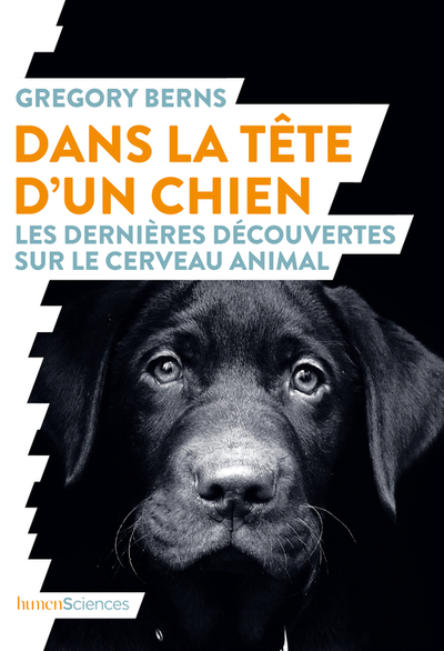 Image de Dans la tête d'un chien