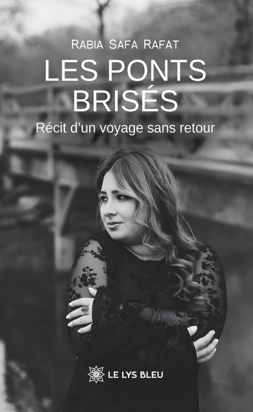 Picture of Les ponts brisés