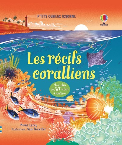 Picture of Les récifs coralliens - P'tits curieux Usborne