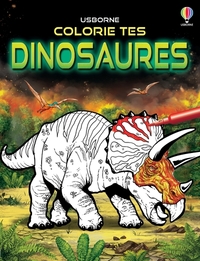 Picture of Colorie tes dinosaures