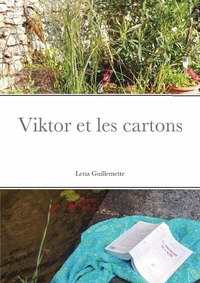 Picture of Viktor et les cartons