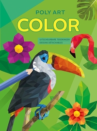 Picture of Poly Art Color