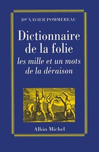 Image de Dictionnaire de la folie