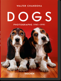 Image de Walter Chandoha. Dogs. Photographs 1941–1991