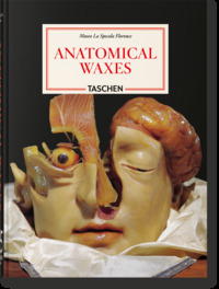 Image de Anatomical Waxes. 45th Ed.