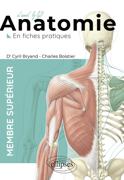 Image de L'anatomie en fiches - Membre supérieur
