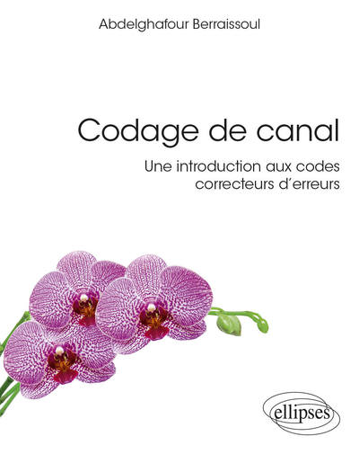 Image de Codage de canal : une introduction aux codes correcteurs d'erreurs