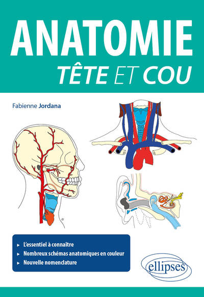 Picture of Anatomie tête et cou