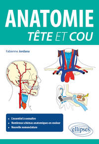 Picture of Anatomie tête et cou