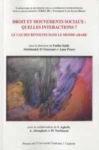Picture of droit et mouvements sociaux : quelles interactions ? le cas des revoltes dans le