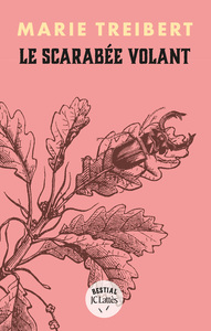 Image de Le scarabée volant