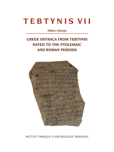 Picture of Tebtynis VII