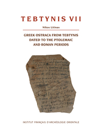 Picture of Tebtynis VII