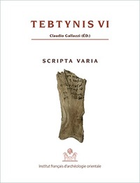 Picture of Tebtynis vi. scripta varia