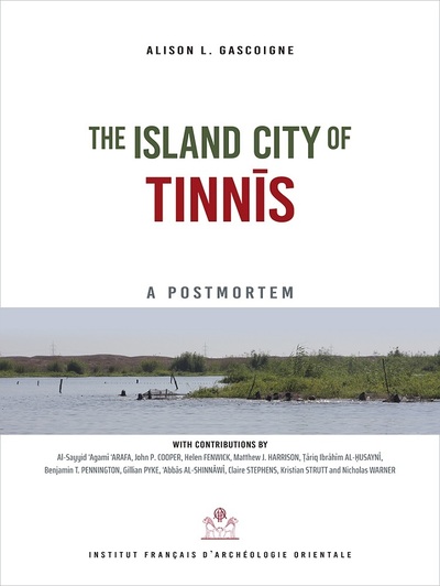 Picture of The island city of tinnis