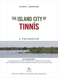 Picture of The island city of tinnis