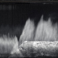 Image de Fossil