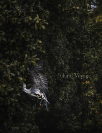 Image de Inland Voyage