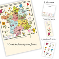 Image de Carte de France Vintage - Régions administratives et fleurs de France - Affiche A1