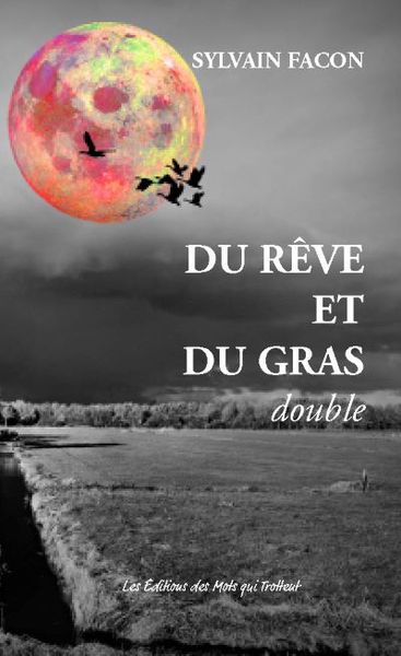 Image de DU REVE ET DU GRAS DOUBLE