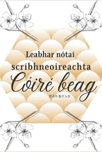 Image de Leabhar nótaí scríbhneoireachta Cóiré beag