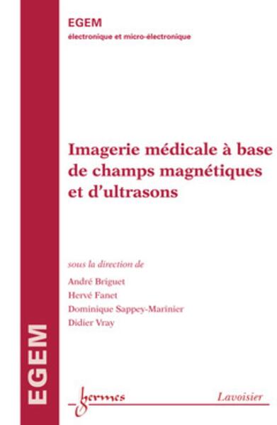 Image de Imagerie médicale à base de champs magnétiques et d'ultrasons