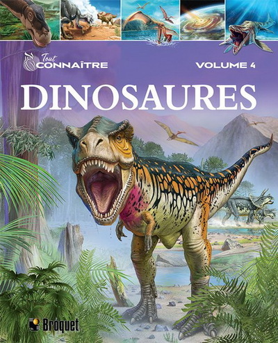 Image de TOUT CONNAITRE. DINOSAURES