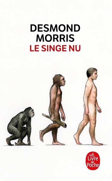 Picture of Le Singe nu